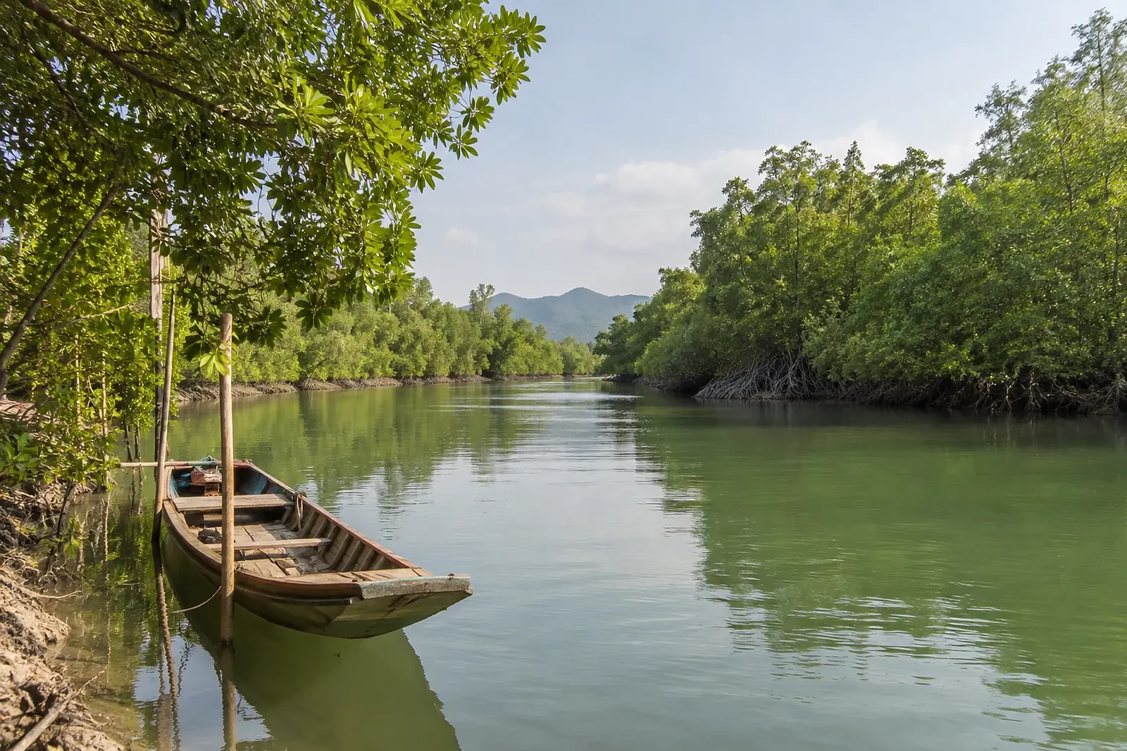 La rivière de Pranburi avec ses mangroves et une petite barque en bois